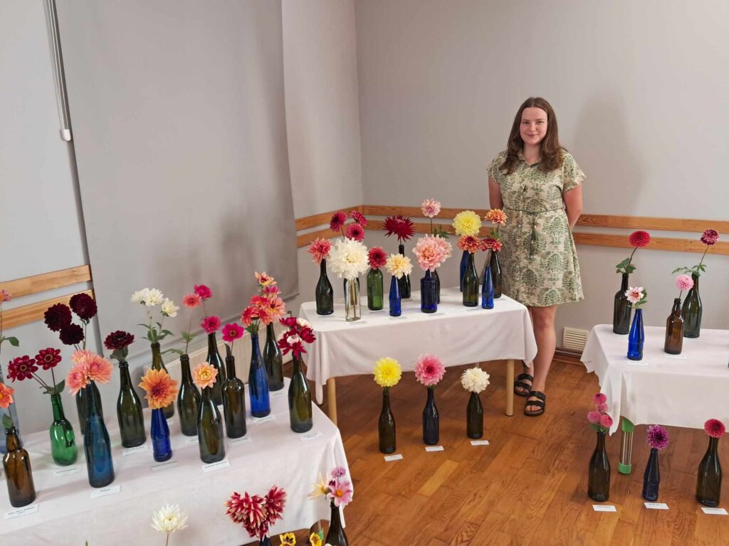 Vidagā, Sikšņu skolas zālē, no 17. līdz 20. septembrim apskatāma grundzālietes Danielas Karaziejas audzēto dāliju kolekcijas izstāde.
Autors: FOTO: MARGARITA SARKANGALVE