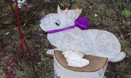 Aluksniesiem.lv raksta attēla aizvietotājs