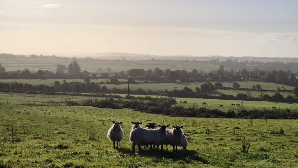 Īrija pārsteidz gan ar rosību pilsētās, gan vēsturi un dabas varenību.
