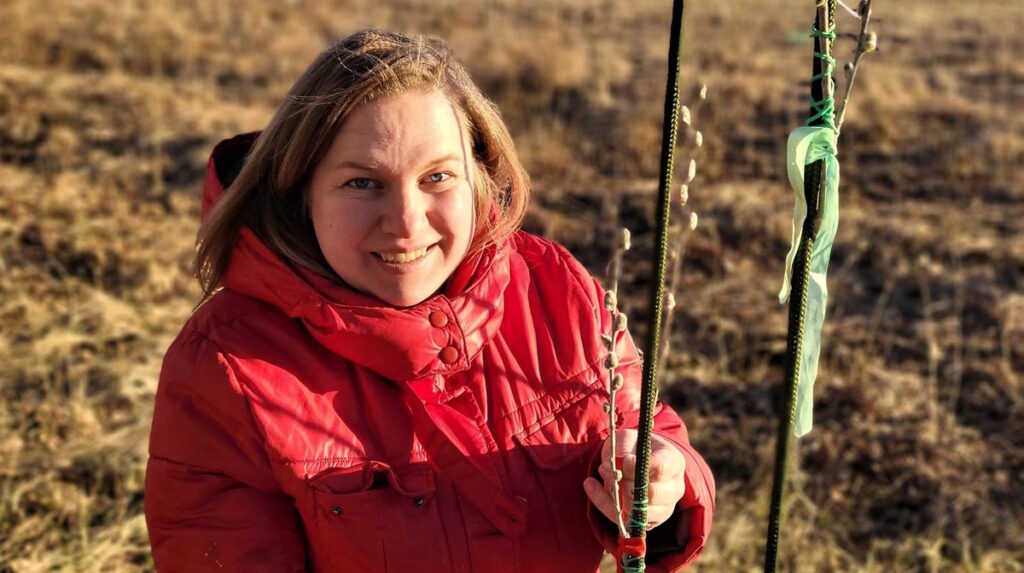 Aluksniesiem.lv raksta attēla aizvietotājs