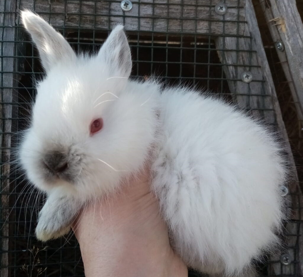 Autors: Foto: No personīgā arhīva