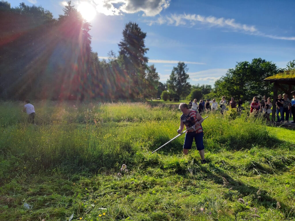 Aluksniesiem.lv raksta attēla aizvietotājs