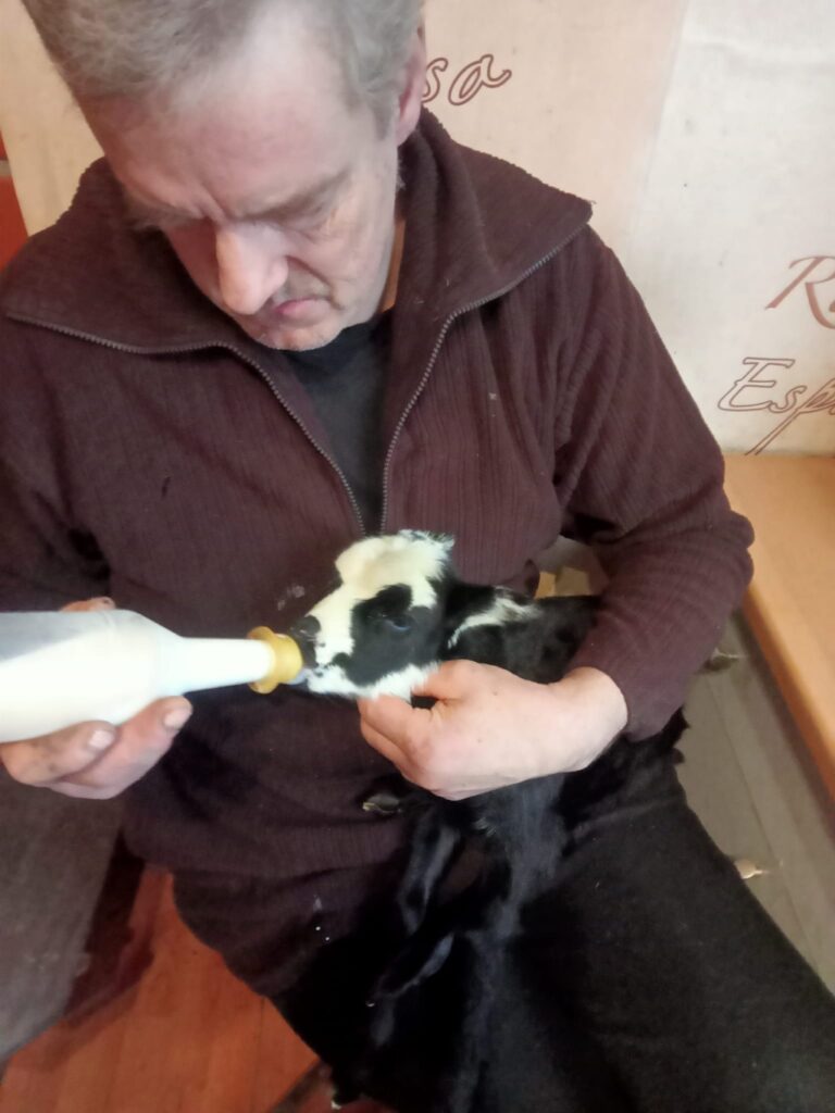 Mini zoo “Rudzīši” saimnieks Artūrs Bērziņš Zuzi gluži kā mazu bērnu baro no pudelītes. Nu jau jēriņš ir gana apvēlies un, kā jau viņa vecumam pienākas, ir nasks uz nedarbiem un apkārtējās pasaules izzināšanu.

Autors: FOTO: NO PERSONĪGĀ ARHĪVA