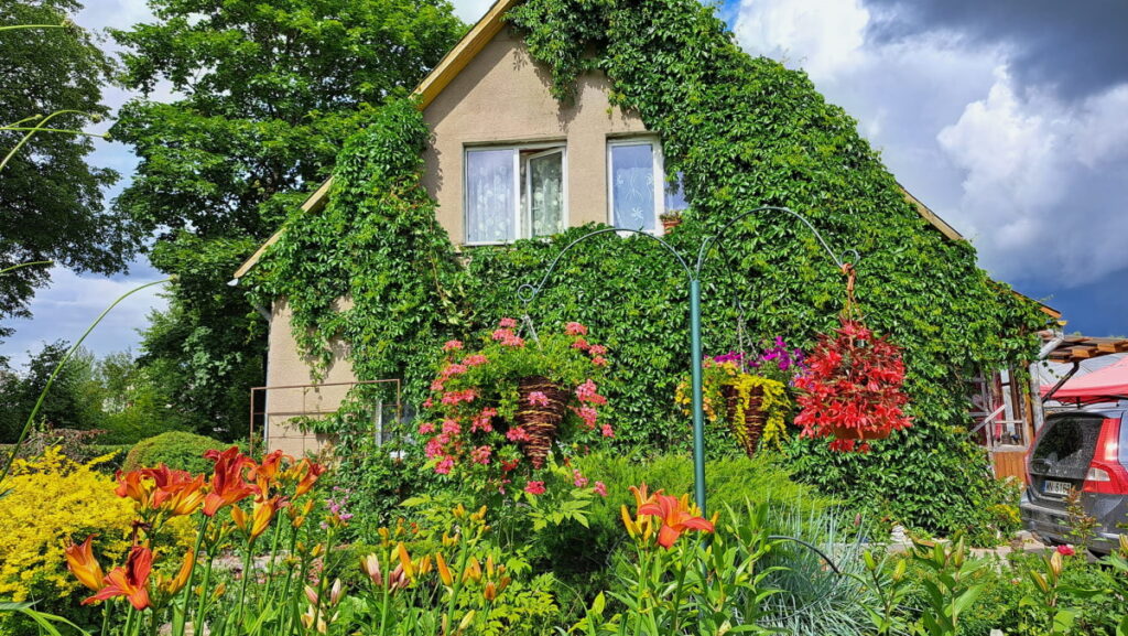 Autors: Foto: No personīgā arhīva