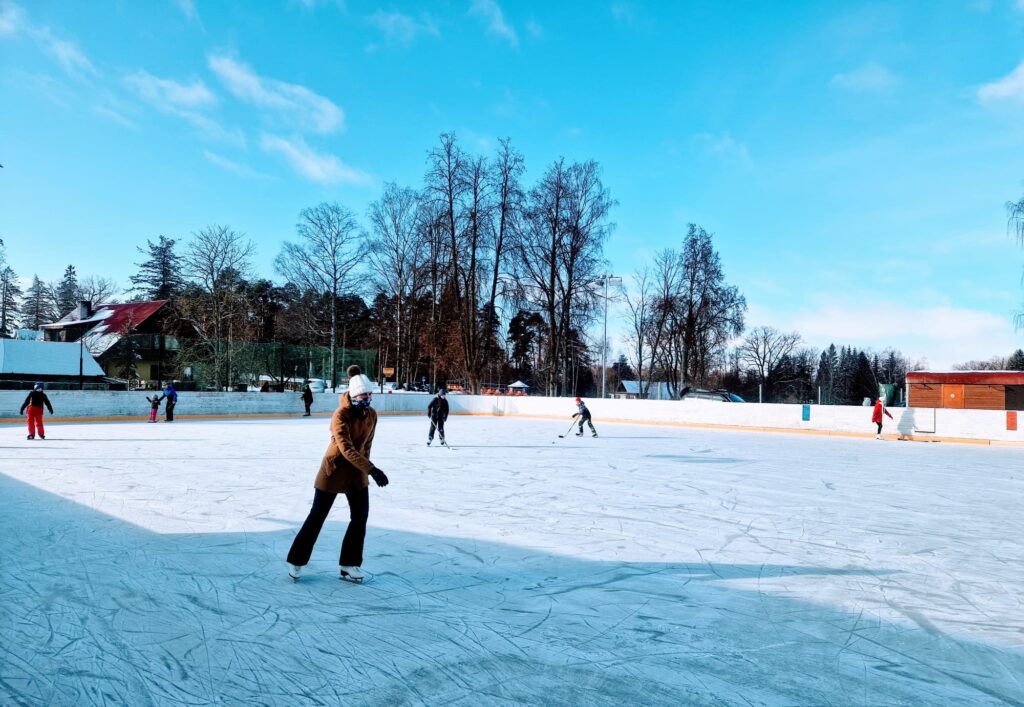 Aluksniesiem.lv raksta attēla aizvietotājs