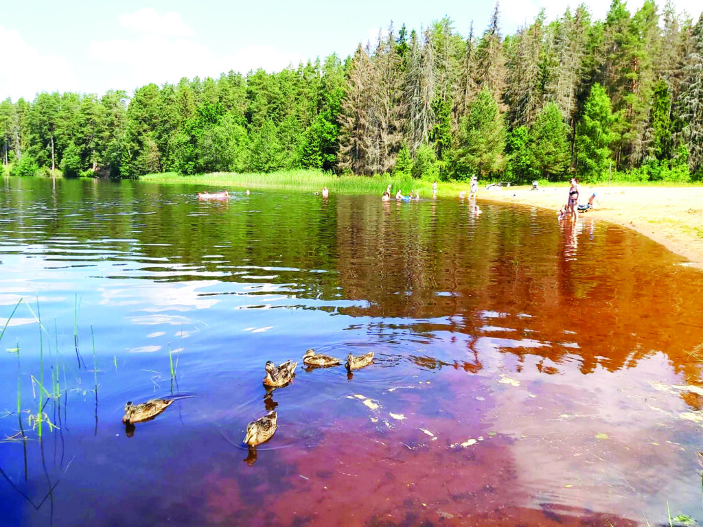 Aluksniesiem.lv raksta attēla aizvietotājs