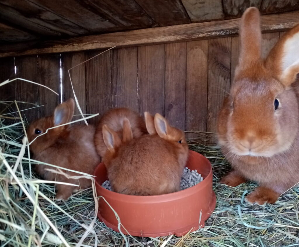 Autors: Foto: No personīgā arhīva