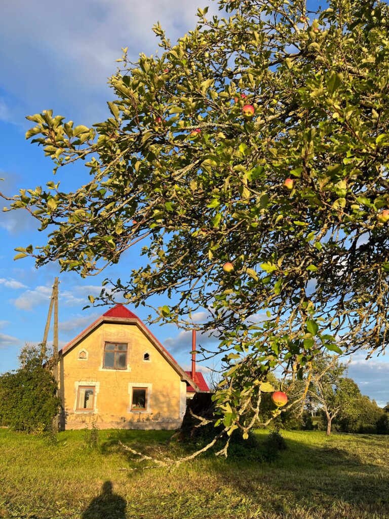 Cimdiņu ģimenes īpašums Raunas pagasta “Rozēs”, kuru visos gadalaikos iekļauj burvīga dabas aina. Pieliekot roku, ar gadiem mājvieta iegūs arvien tīkamāku vizuālo tēlu, vismaz ģimenei gribas uz to cerēt.

Autors: FOTO: NO PERSONĪGĀ ARHĪVA