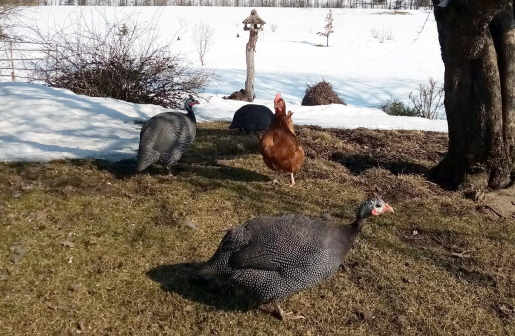 Autors: Foto: No personīgā arhīva