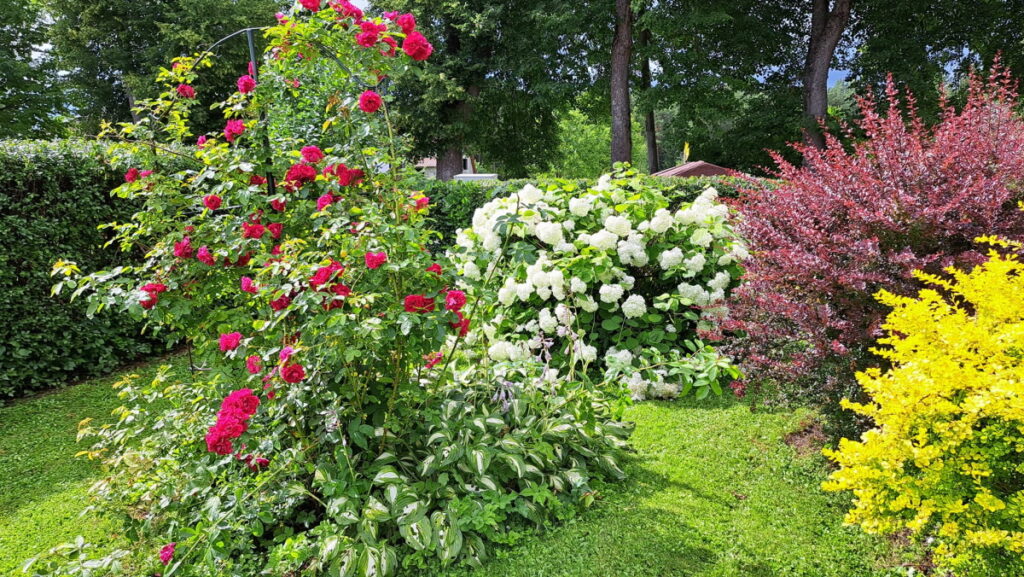 Autors: Foto: No personīgā arhīva