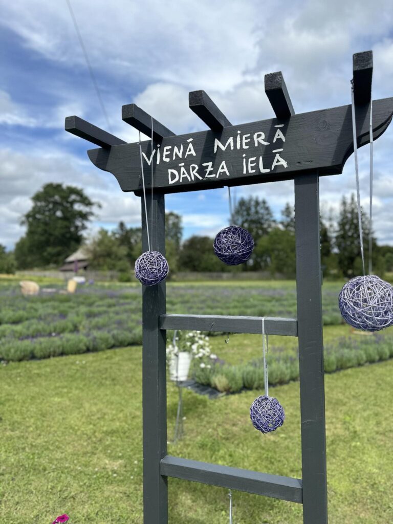 Lavandu dārzs Blomē viesiem atvērts vasarās, lavandu ziedēšanas laikā, kad uz turieni dodas daudzi interesenti.

Autors: FOTO: NO PERSONĪGĀ ARHĪVA