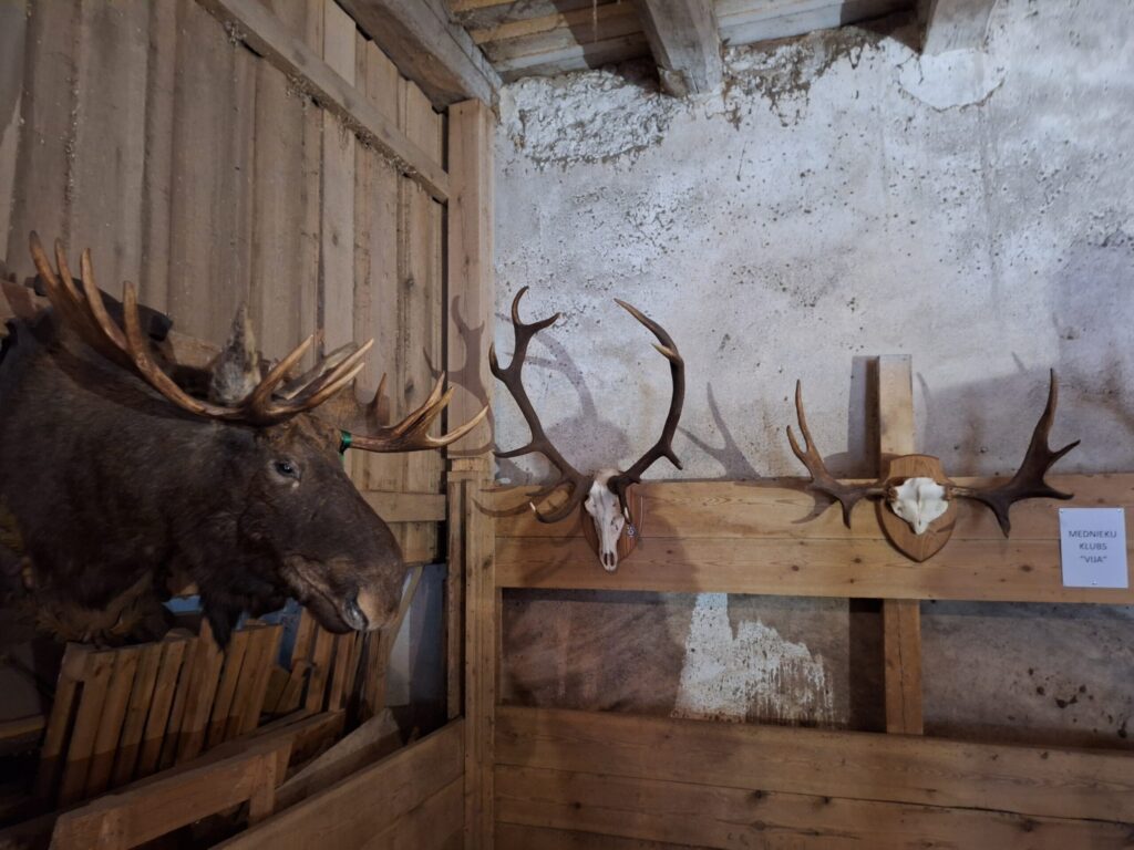 Svētku reizē bija atvērta arī Vijciema magazīna, tur norisinājās dažādas radošās darbnīcas, kā arī bija iespēja aplūkot vietējā mednieku kluba “Vija” trofeju izstādi.