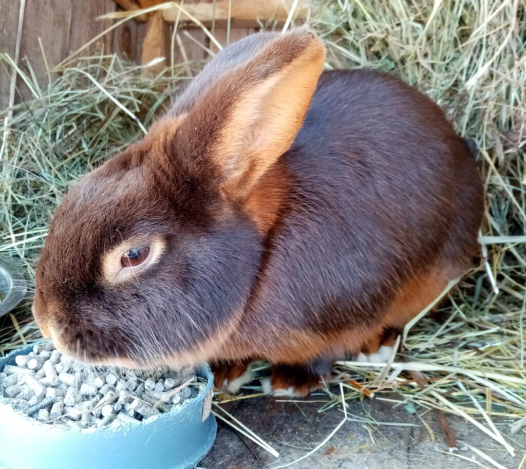 Autors: Foto: No personīgā arhīva