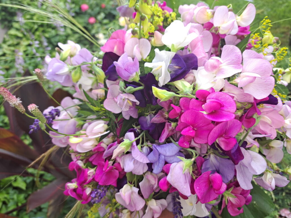 Autors: Foto: No personīgā arhīva