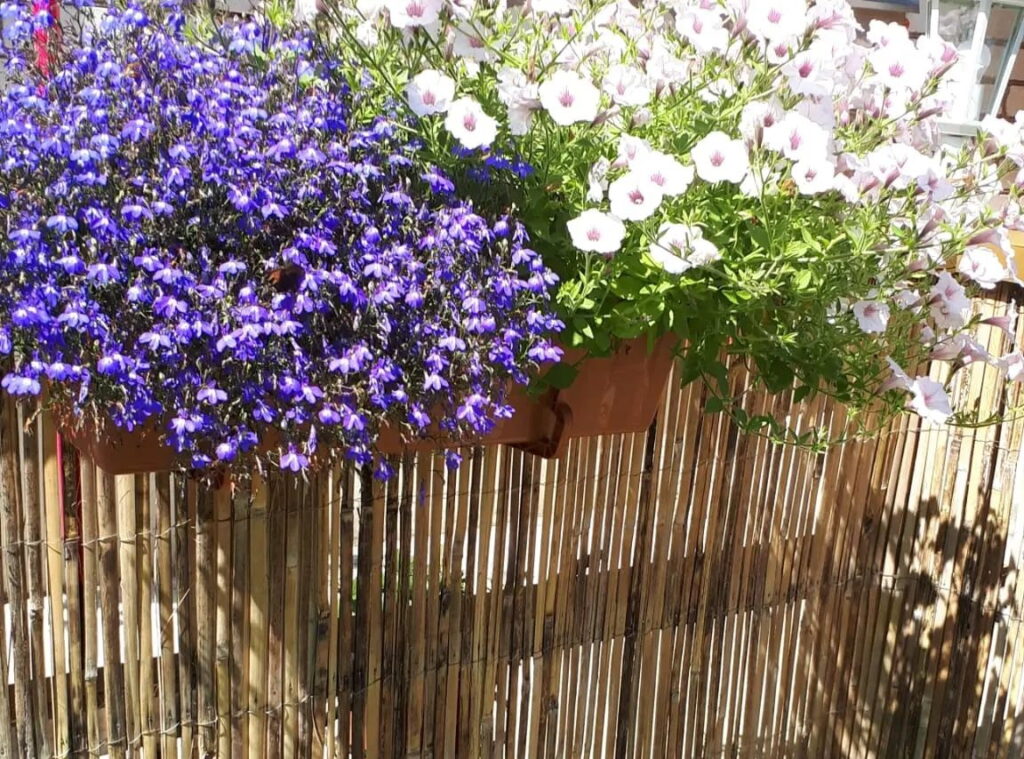 Autors: Foto: No personīgā arhīva