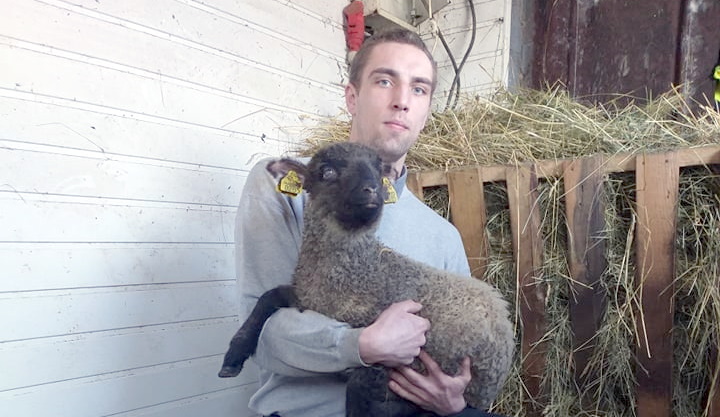 Aluksniesiem.lv raksta attēla aizvietotājs