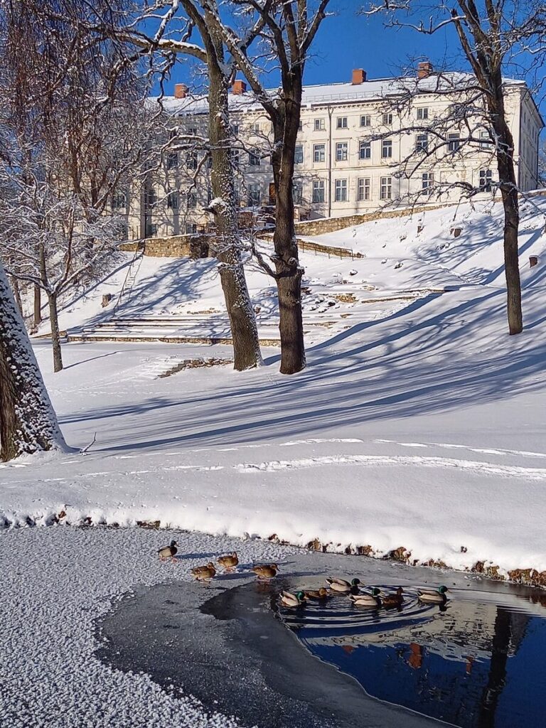 Gaujienas muižas parks.
Autors: Foto: Sanita Sproģe