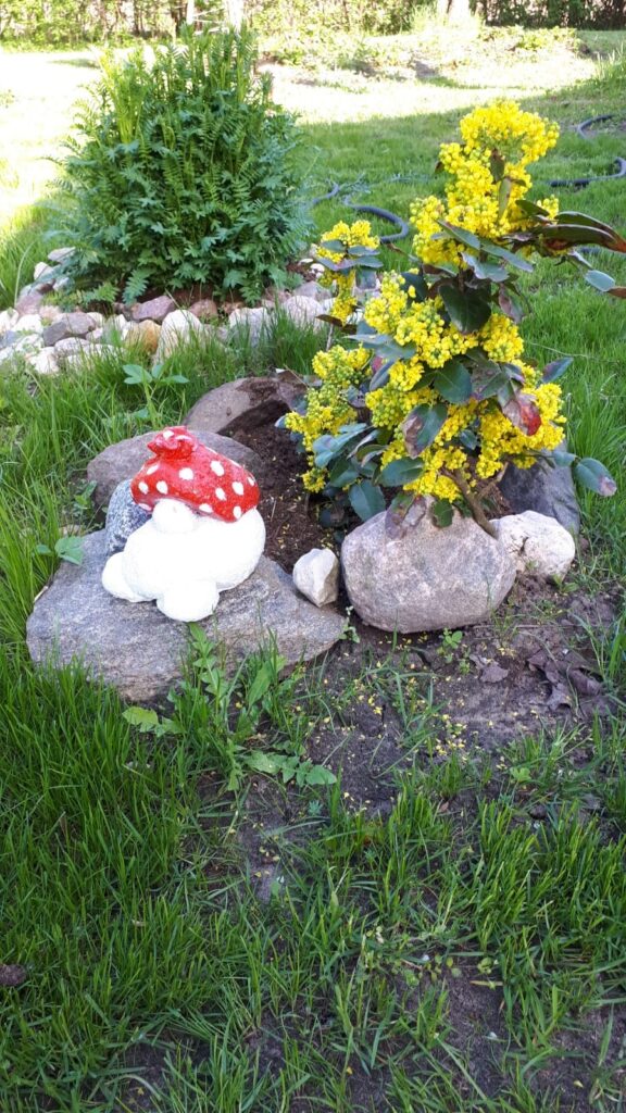 Autors: Foto: No personīgā arhīva