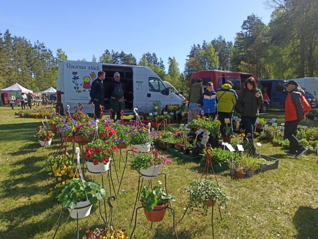 Aluksniesiem.lv raksta attēla aizvietotājs