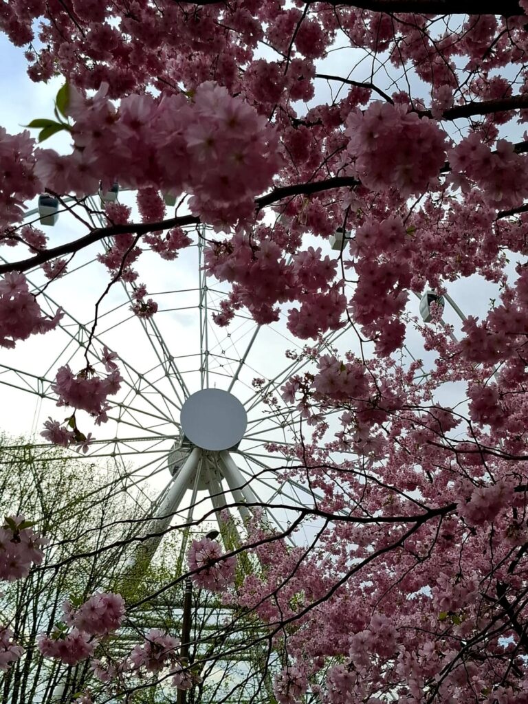 Autors: FOTO: Ingūna Johansone 