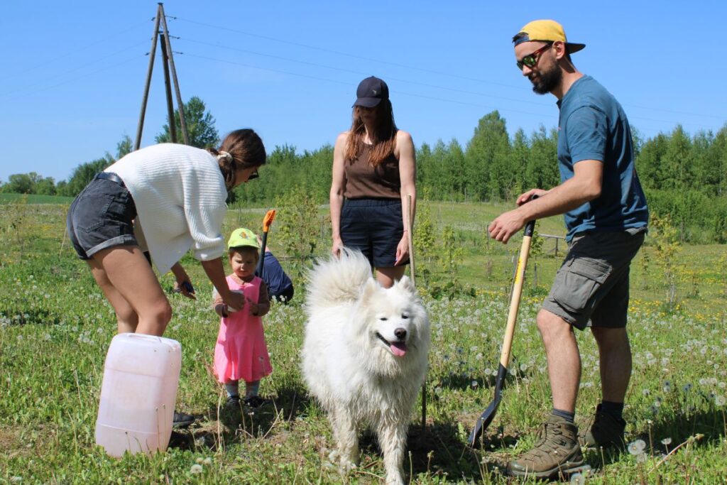Aluksniesiem.lv raksta attēla aizvietotājs