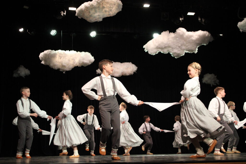 Aluksniesiem.lv raksta attēla aizvietotājs