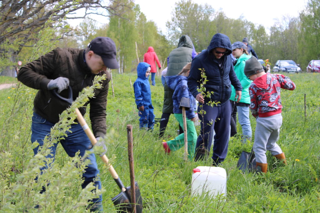 Aluksniesiem.lv raksta attēla aizvietotājs
