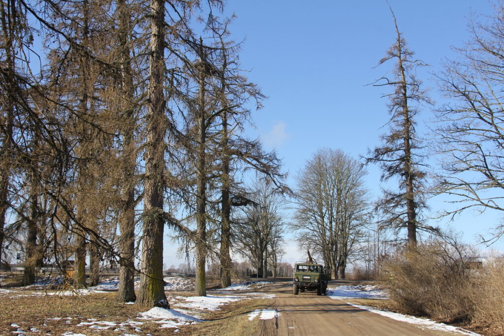 Autors: Publicitātes foto.