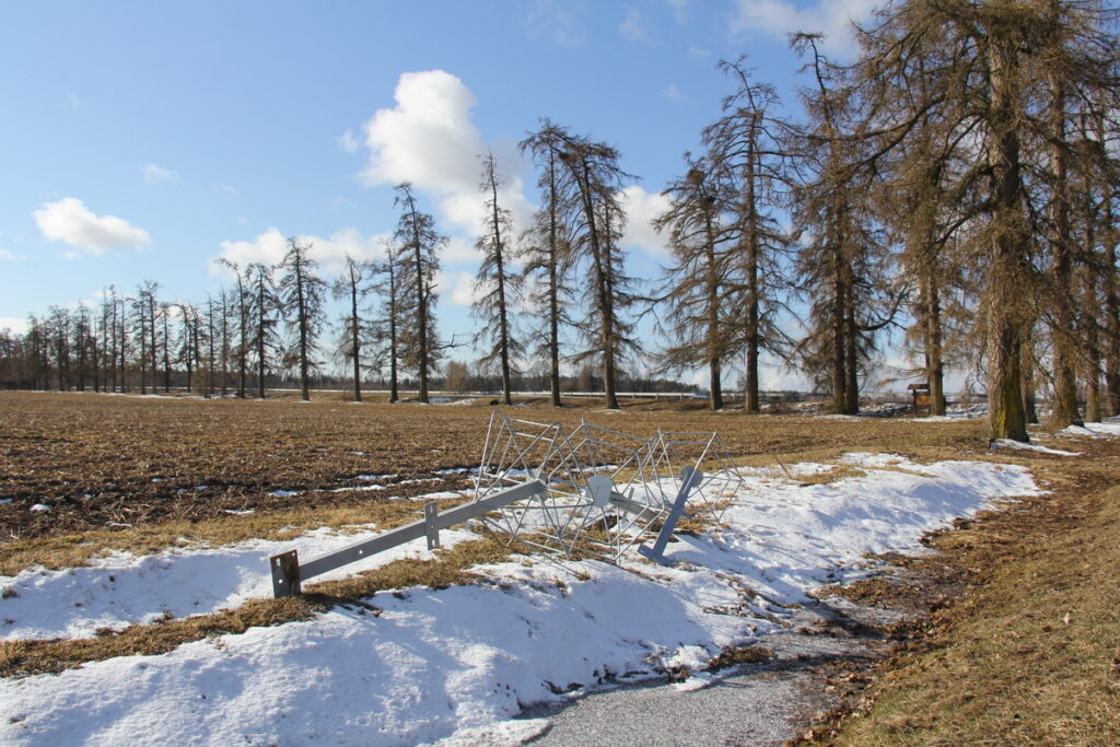 Autors: Publicitātes foto.