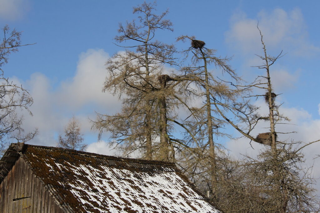 Autors: Publicitātes foto.