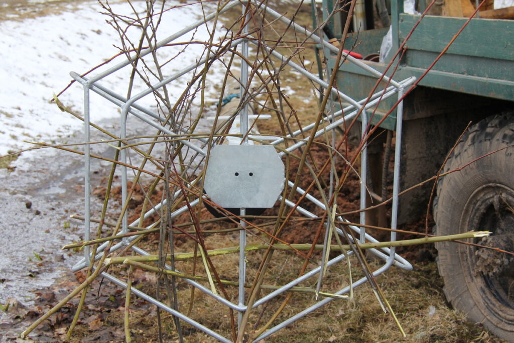 Autors: Publicitātes foto.