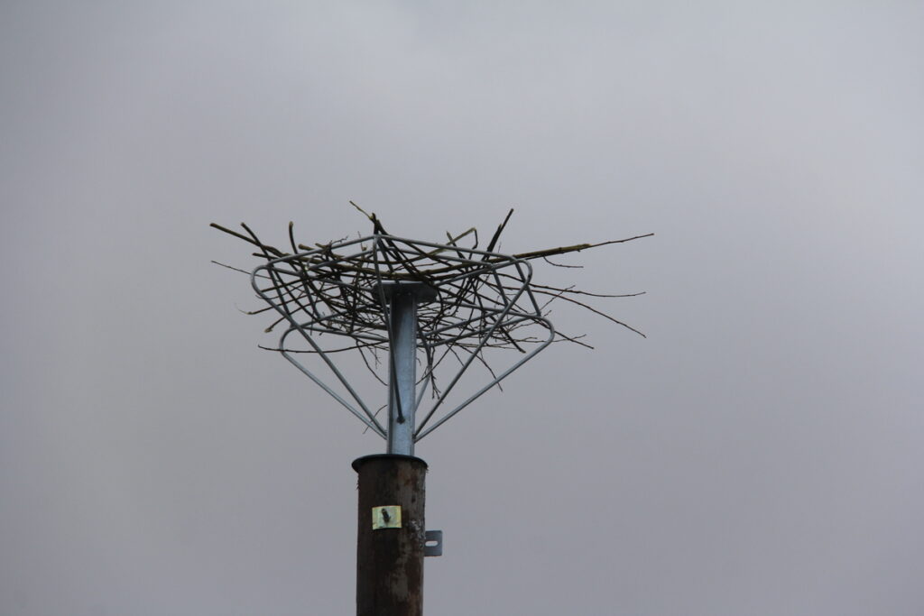 Autors: Publicitātes foto.