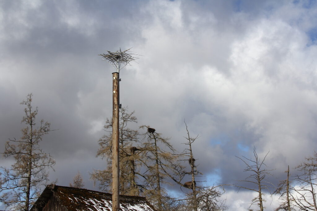 Autors: Publicitātes foto.