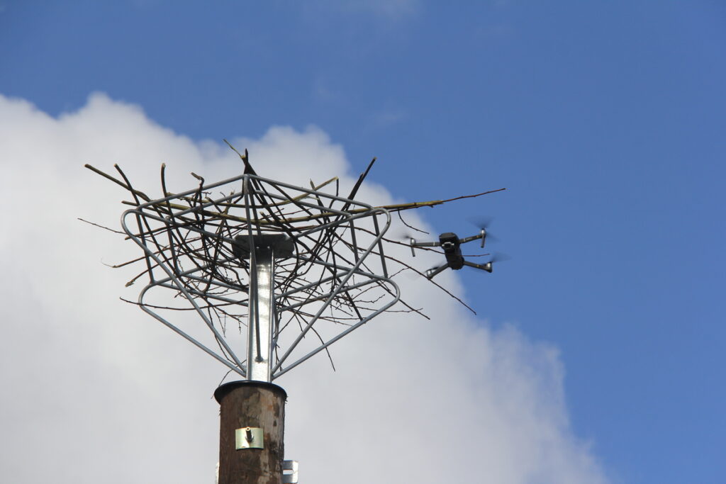 Autors: Publicitātes foto.