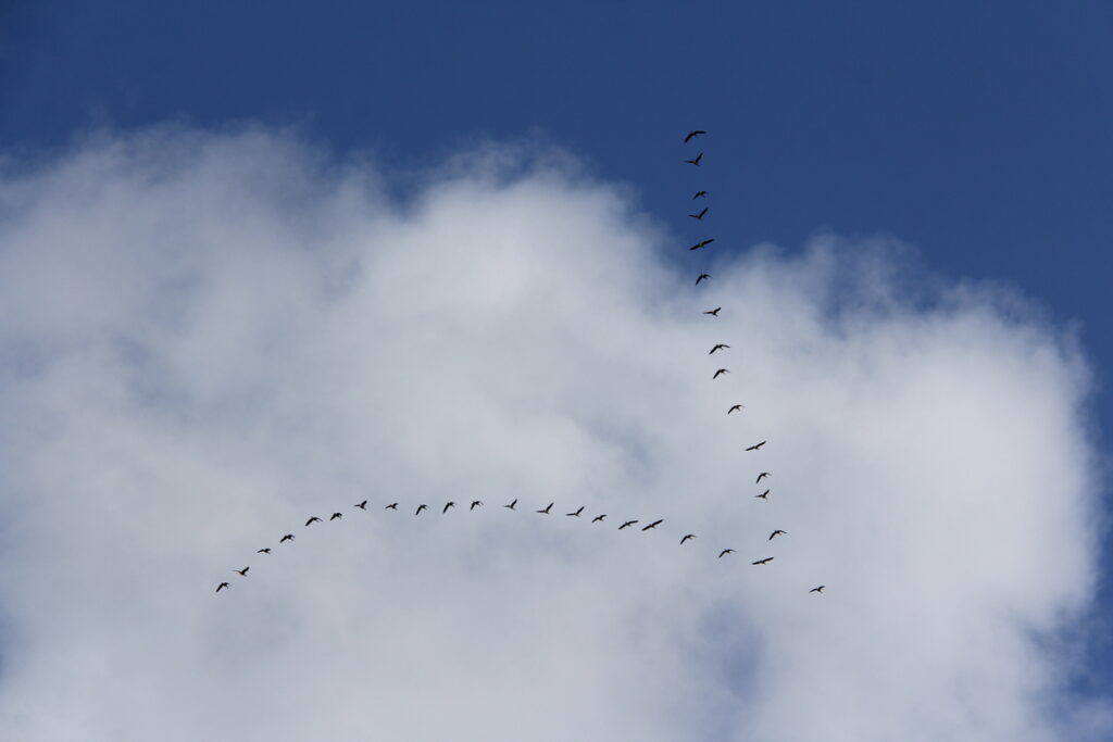 Autors: Publicitātes foto.