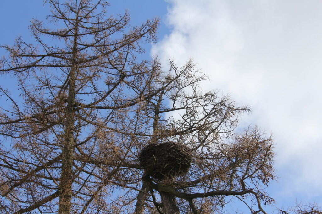 Autors: Publicitātes foto.