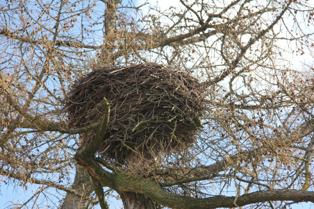 Autors: Publicitātes foto.