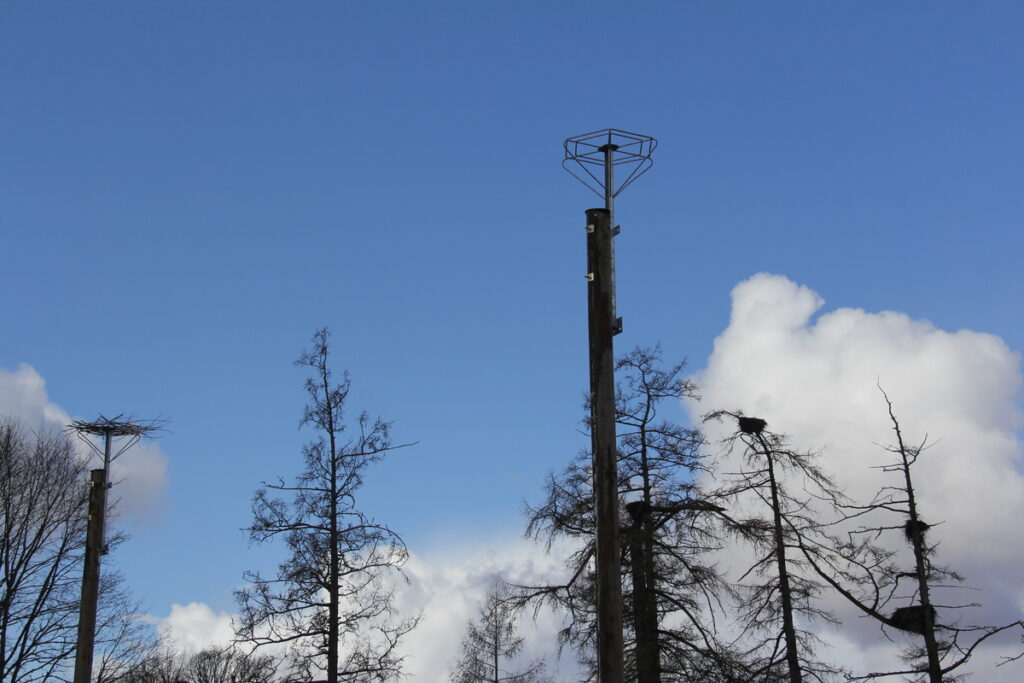 Autors: Publicitātes foto.