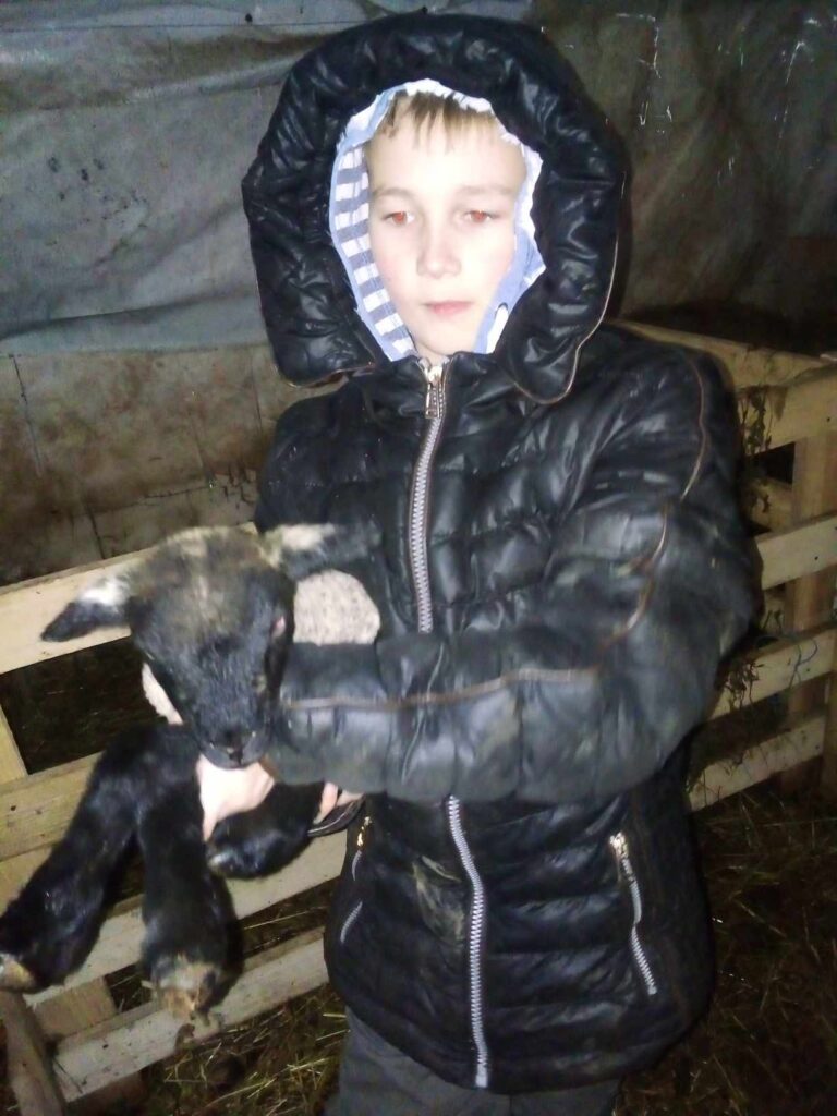 Līdz ar jēru laiku daudzās aitu audzēšanas saimniecībās ganāmpulki kļūst plašāki. Par spriganiem jēriem priecājas arī Kalniņu ģimenes saimniecībā.

Autors: FOTO: NO KALNIŅU ĢIMENES ARHĪVA