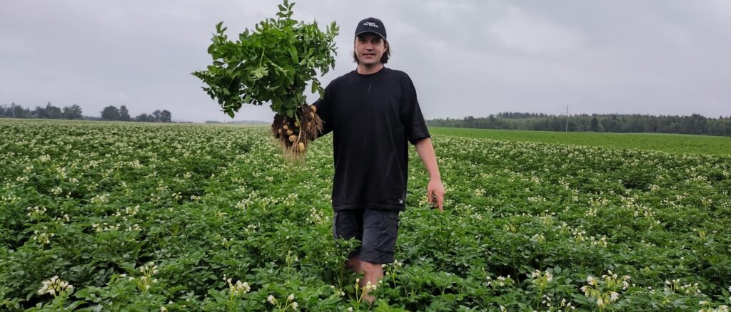 Vijciemietis Mārcis Pakalns, kurš atpazīstams kā zīmola “Potato Dealer” dibinātājs, strādā ar inovatīvu pieeju kartupeļu audzēšanā un tirgošanā, tādējādi iekarojot gardēžu sirdis daudzos augstas raudzes restorānos Latvijā, kuros maltīšu piedāvājumā klienti var nobaudīt saimniecībā “Piekalnes” audzētos kartupeļus.