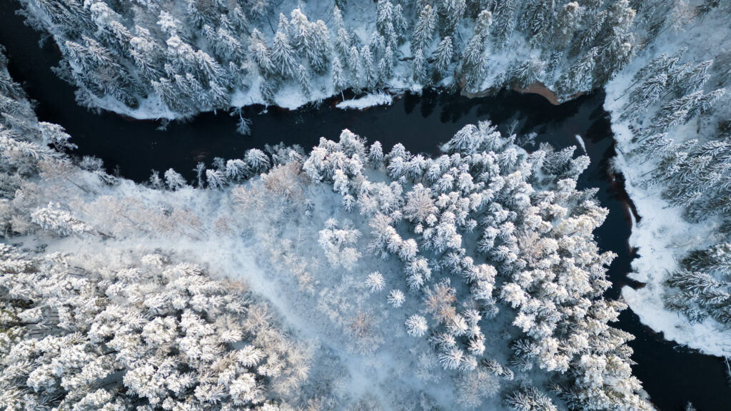 Autors: Skats ar Braslas upi no augšas: L. Mihailovs