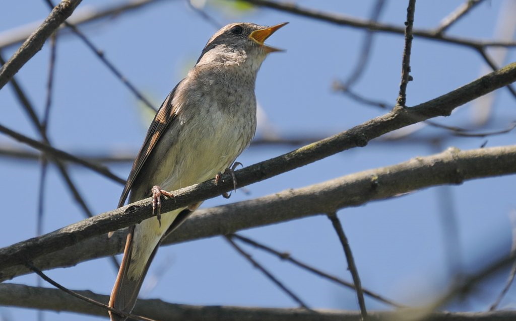 Autors: Foto: Selga Bērziņa