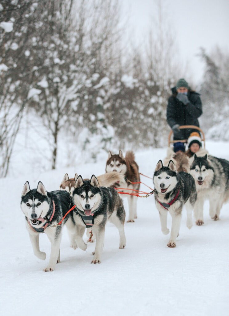 Autors: Haskiji: L. Rūķīte