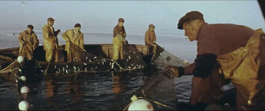 Kadrs no filmas "Lomi"