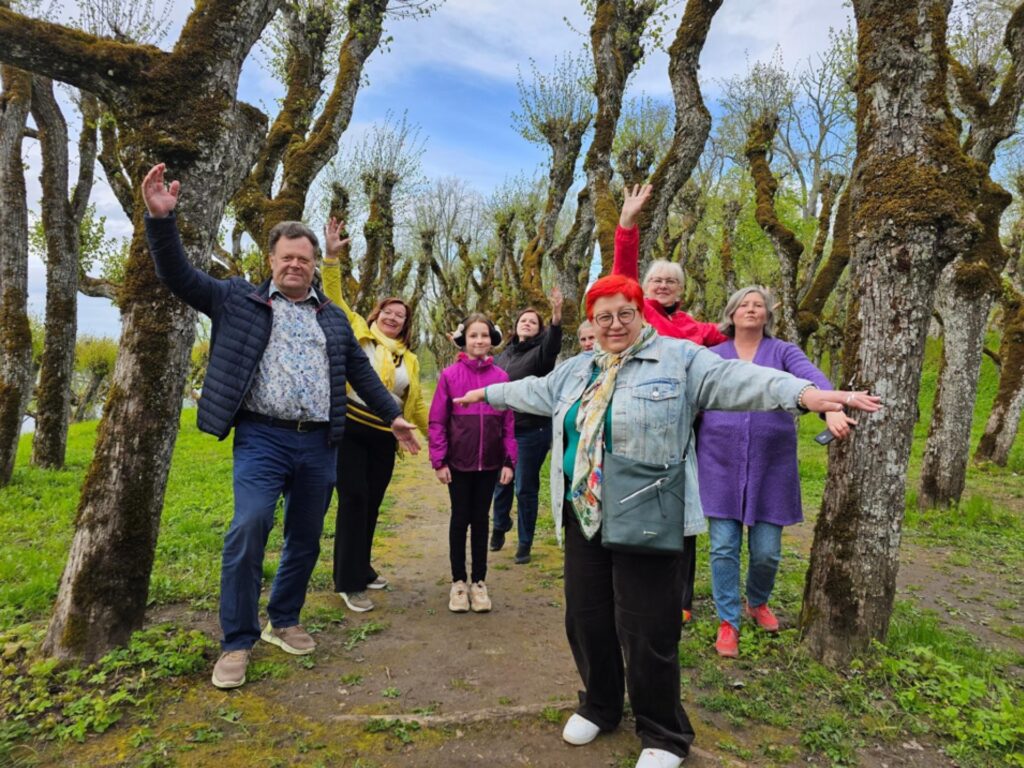 Limbažu novadā viena no eksotiskākajām apskates pērlēm ir Katvaru liepu aleja, kurā atrodamas 400 gadus vecas liepas.