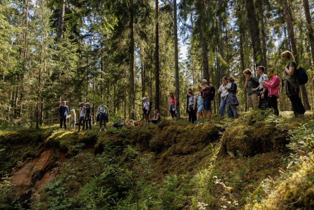 Aluksniesiem.lv raksta attēla aizvietotājs