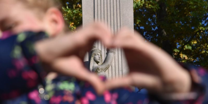 Aluksniesiem.lv raksta attēla aizvietotājs