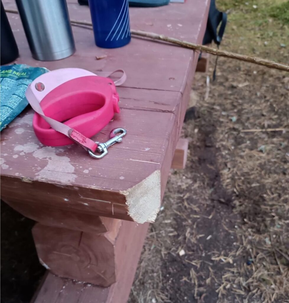 Bijušais valcēnietis, tagad – Ērģemes pagasta iedzīvotājs Modris Posse aizvadītajās brīvdienās atklājis, ka Valkā, Sarkano klinšu teritorijā, ar cirvi brutāli sabojāts koka galds.

Autors: FOTO: MODRIS POSSE