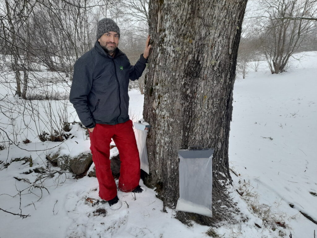 Aluksniesiem.lv raksta attēla aizvietotājs