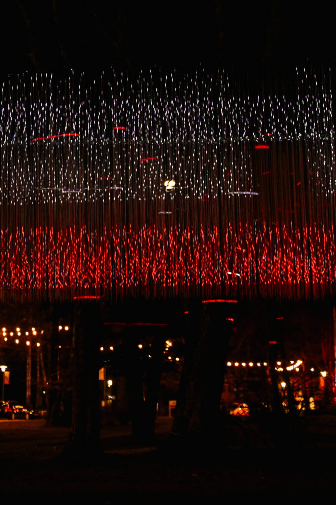 Autors: Foto: Ginta Zīverte